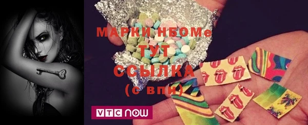 индика Володарск