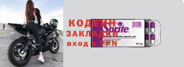 индика Володарск