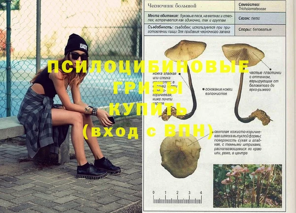 амф Волоколамск