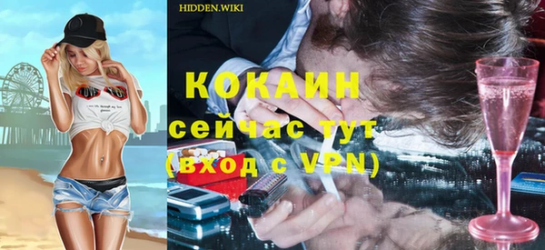 индика Володарск