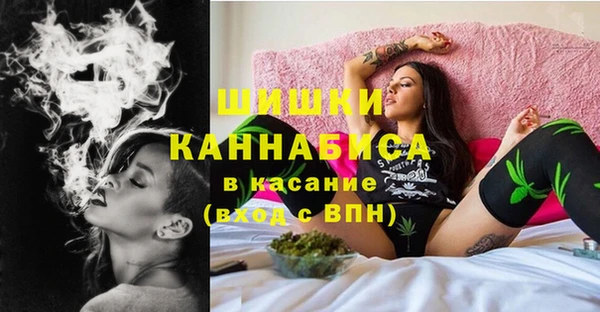 индика Володарск