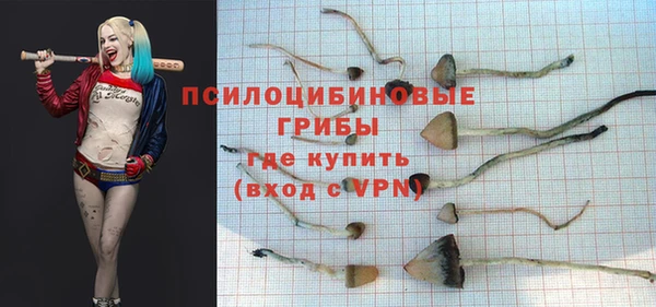 индика Володарск