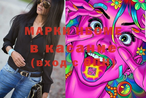 индика Володарск