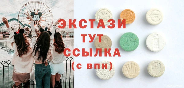 индика Володарск