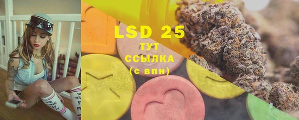 индика Володарск