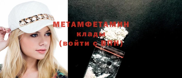 индика Володарск