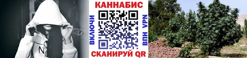 Шишки марихуана индика гидра онион Лысково